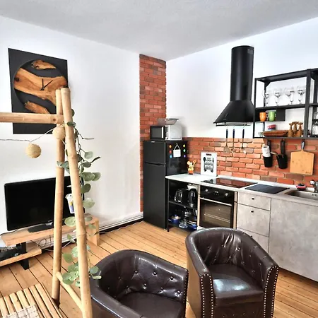 Altstadtblick Daire Altenburg